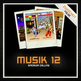 Musik 12