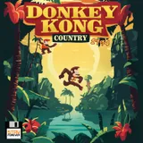Donkey Kong Country (SSF 65)